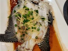 清蒸花斑鱼头鱼骨-精致顺德菜(琶洲店)