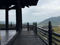-大唐贡茶院