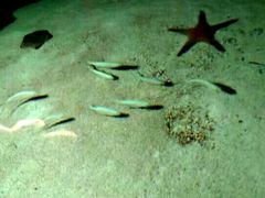 -福州罗源湾海洋世界旅游区