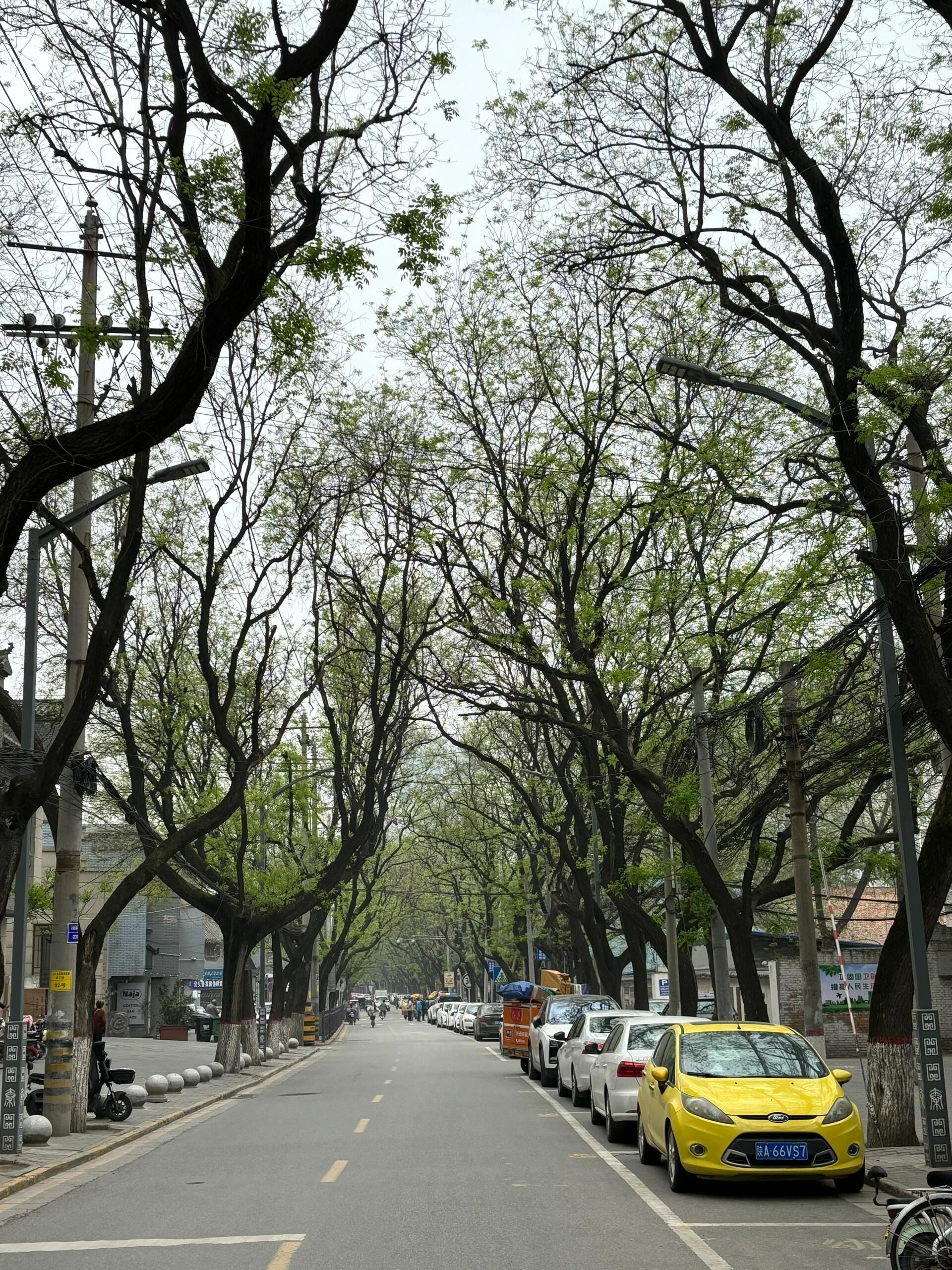 咸阳新嘉惠购物广场图片