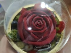 -哈根达斯(卓展店)