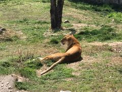 -西安秦岭野生动物园
