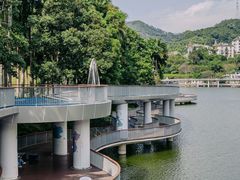 -银湖山郊野公园-相思林