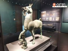 -广西壮族自治区博物馆