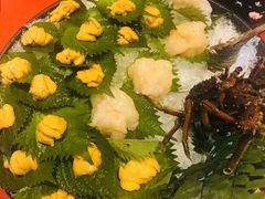 -初花·日本料理