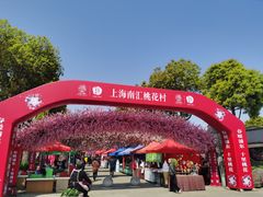 -南汇桃花村
