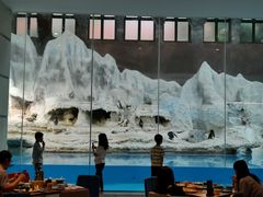 -帝企鹅自助餐厅•儿童岛•真企鹅(长隆企鹅酒店)