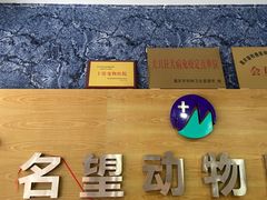 -瑞派名望志远动物医院·猫科·內科·异宠专科(直港大道店)