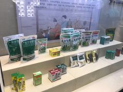 -广东中医药博物馆