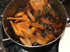 -新兴·金羊座·粤菜点心(乐峰店)