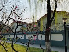 -玲珑塔公园