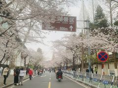 -鸡鸣赐茶(鸡鸣寺路店)