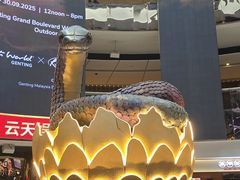 -云顶高原