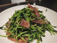 鸡油腊味炒豆苗-潮界(虹桥新天地店)