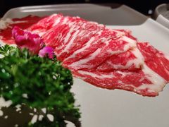 美国安格斯上脑牛肉-煲宫猪肚鸡(晶品店)