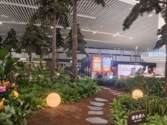 -青岛胶东国际机场