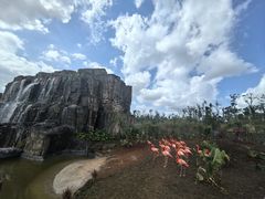 -海南热带野生动植物园