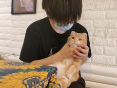 -平行世界·猫咖(首经贸店)