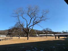 -轻井泽王子购物广场