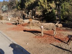 -北京西山国家森林公园