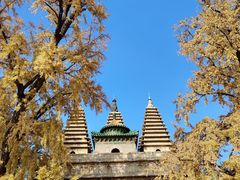 -北京石刻艺术博物馆(五塔寺)