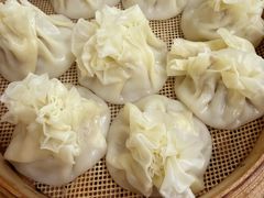 -百年老字号·马家烧麦馆(中街店)