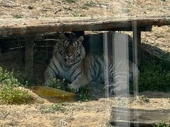 -大连森林动物园