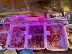 -双季花艺园艺市场(浦东店)