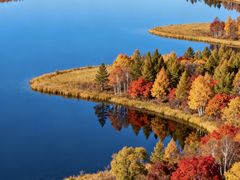 -塞罕坝国家级自然保护区