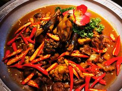 -龙泉小镇(科圣路店)