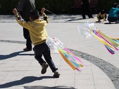 -北京市海淀区锦绣明天莲宝幼儿园