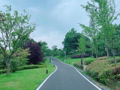 -中海·庐山西海君澜度假酒店·味屿全日制餐厅