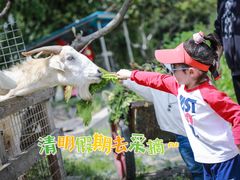-九善农植有机生活农场