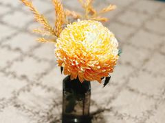 -新光酒家·河豚·海鲜·蟹料理(浦东店)