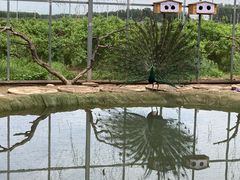 -河北村民俗体验园