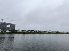 -杭州湾海上花田景区