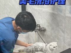 -瑞派新吉太郎宠物医院·重症转诊中心·泌尿道(嘉禾望岗院)