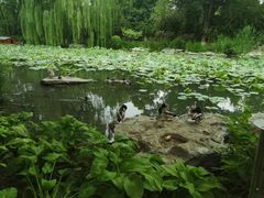 -北京石景山游乐园