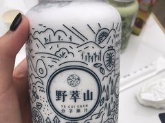 心动多肉椰椰-野萃山·潮汕厚果汁(十亩地店)