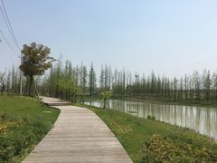 -海宁鹃湖公园