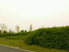 -九里河湿地公园