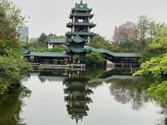 -桂湖森林公园