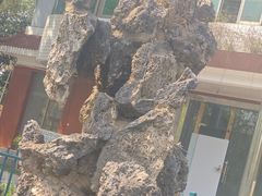 -洋湖国家湿地公园