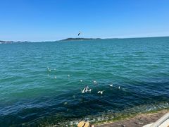 -悦海公园