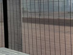 -梧桐餐厅(泉城路店)