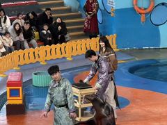 -海合安武汉极地海洋公园