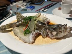 -松雅轩(大源店)