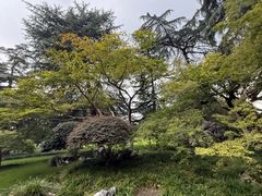 -西湖游船