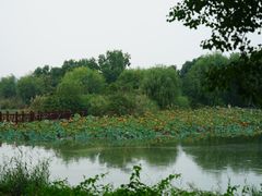 -云龙湖旅游景区
