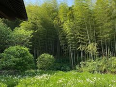 -兰亭风景区